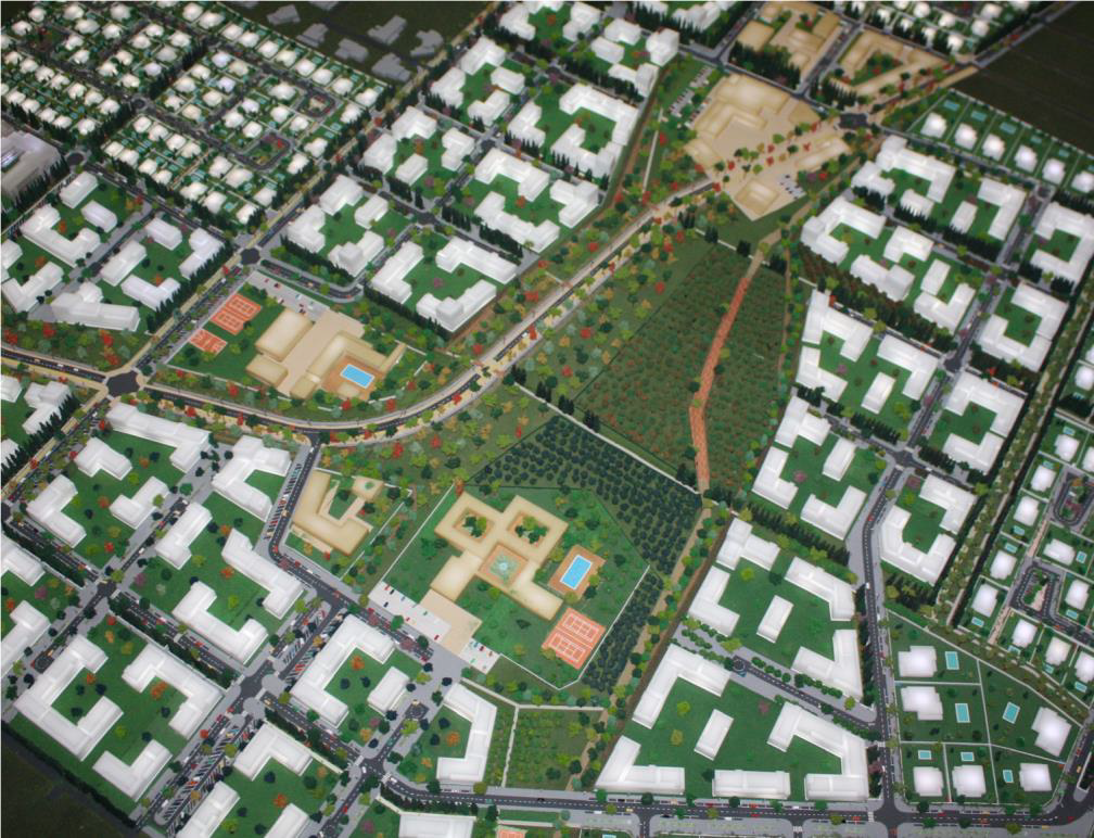 Taghazout Bay Echelle 250ème